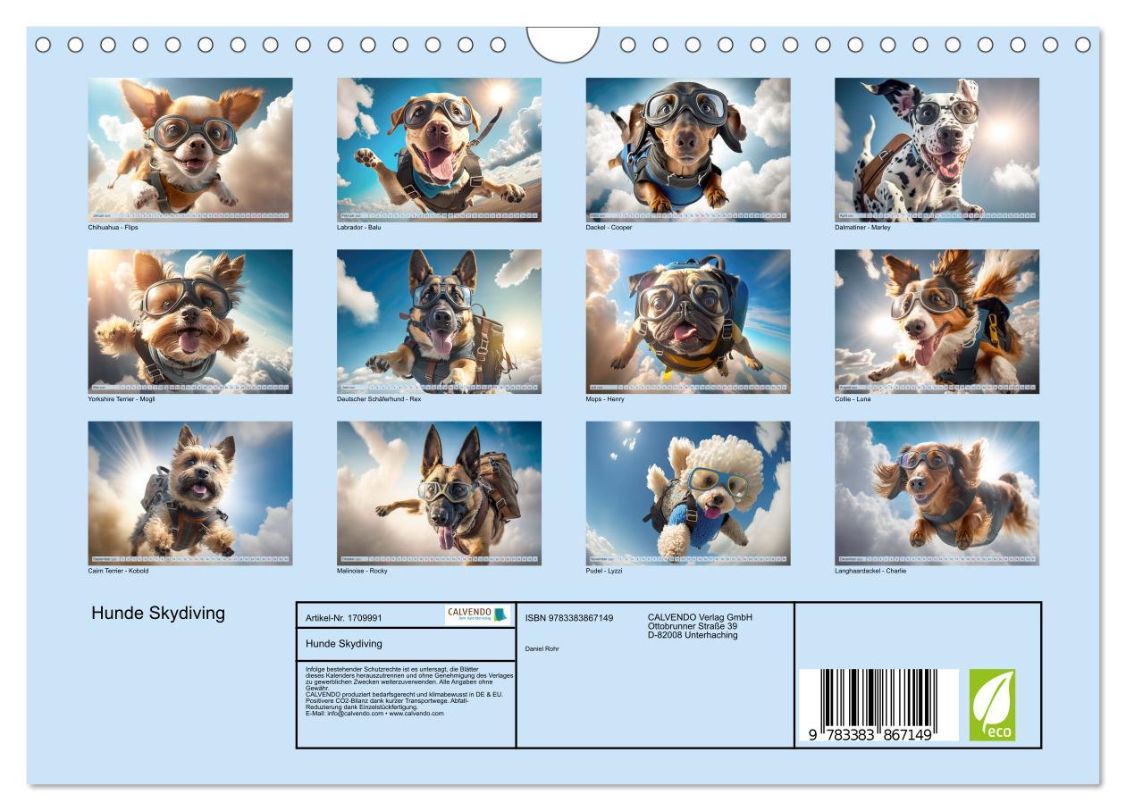 Bild: 9783383867149 | Hunde Skydiving (Wandkalender 2025 DIN A4 quer), CALVENDO...