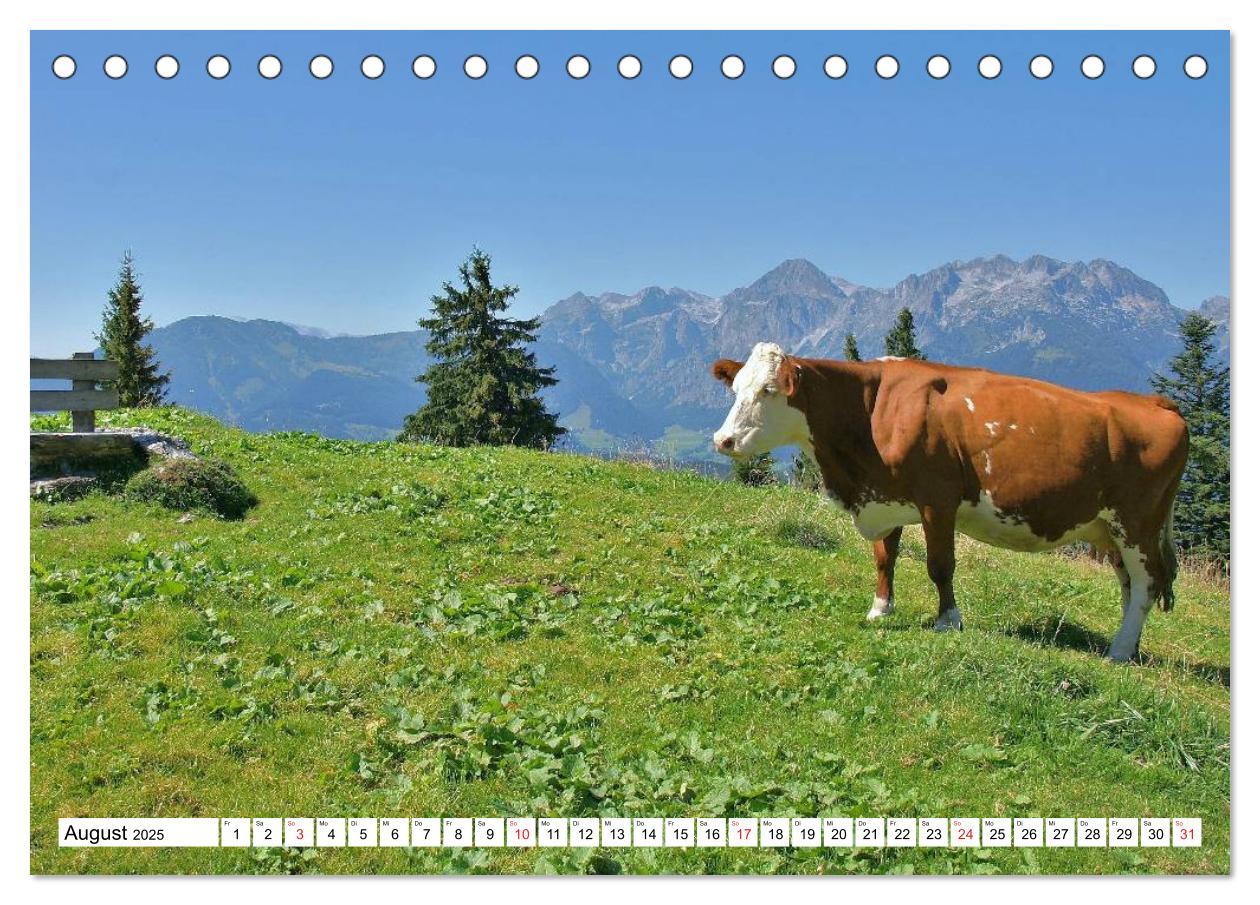 Bild: 9783435493036 | Die Alpen im Herzen von Österreich (Tischkalender 2025 DIN A5...