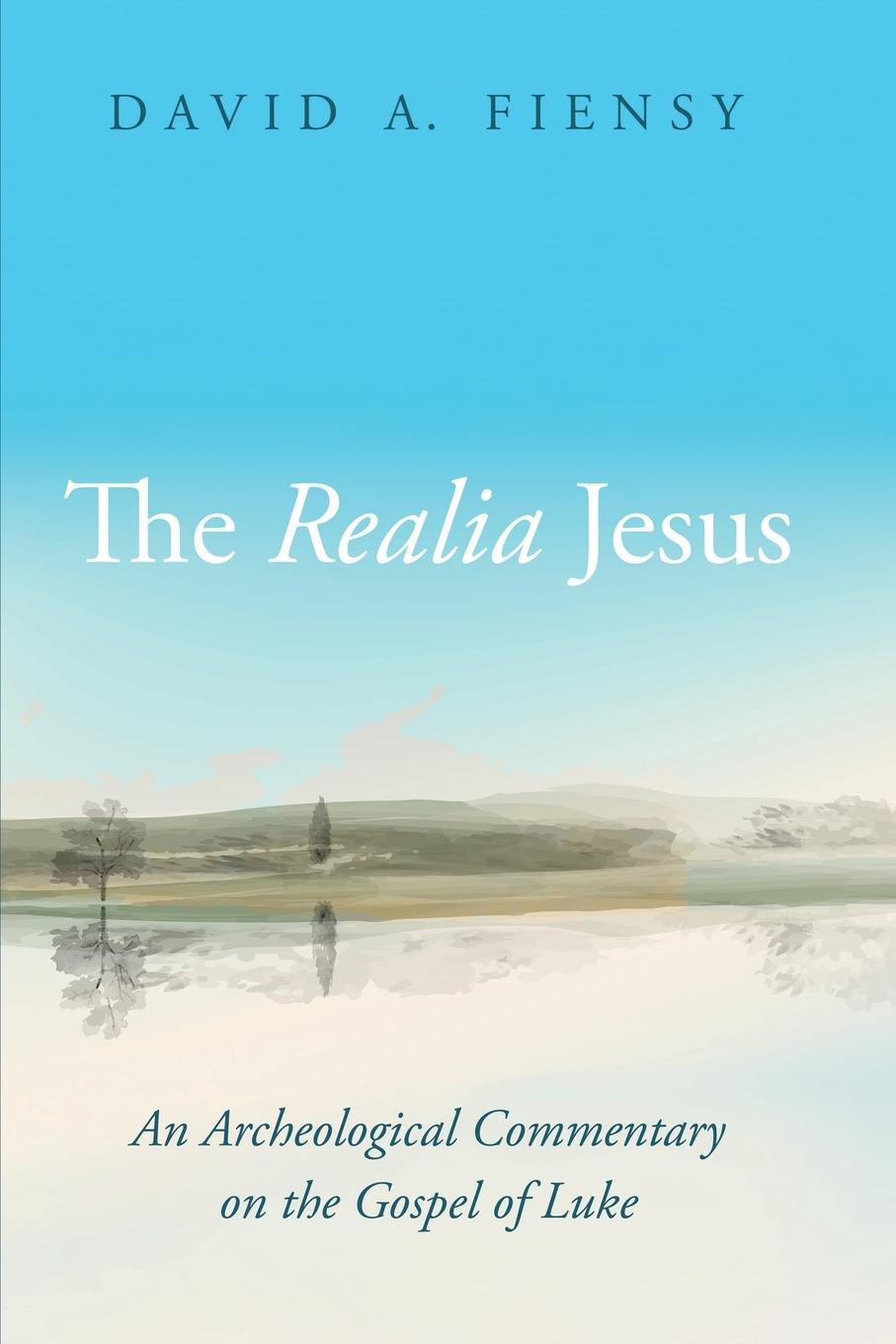 Cover: 9781666772579 | The Realia Jesus | David A. Fiensy | Taschenbuch | Paperback | 2024