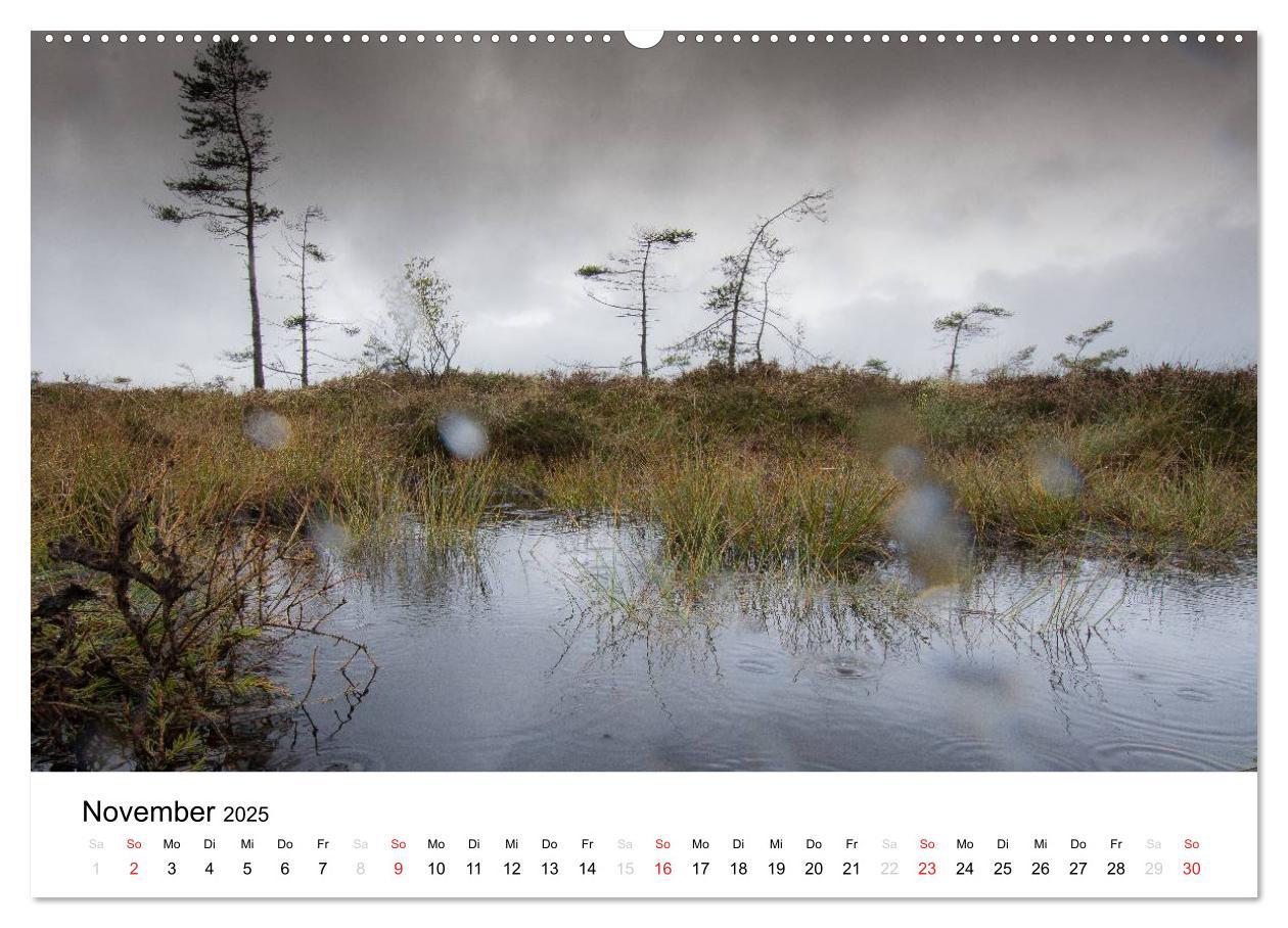 Bild: 9783435499069 | Naturerlebnis im Biosphärenreservat Rhön (Wandkalender 2025 DIN A2...