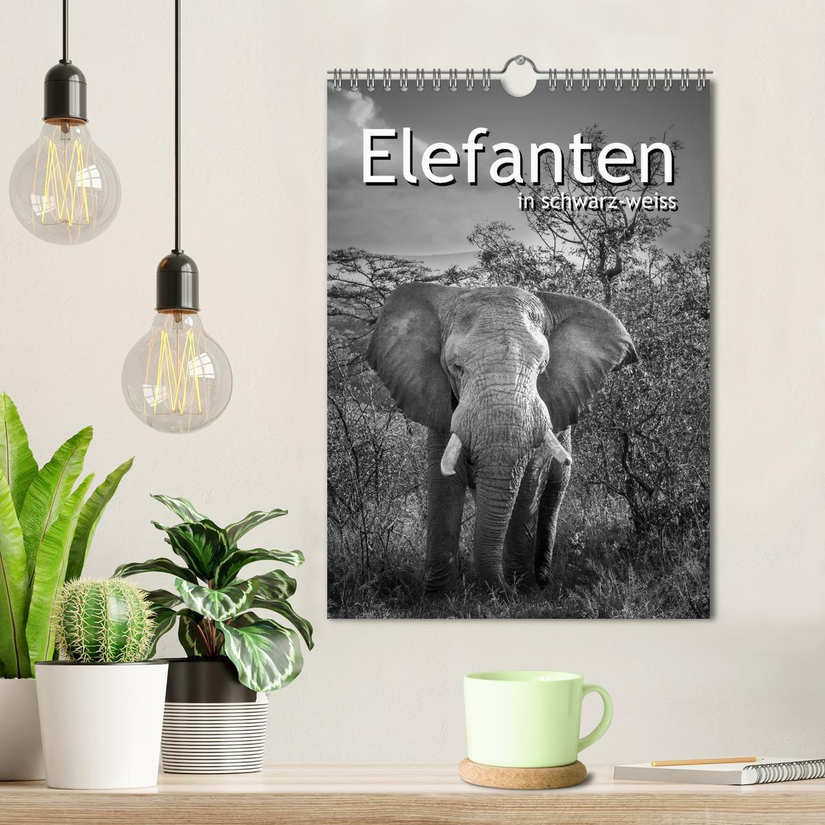 Bild: 9783457003978 | Elefanten in schwarz-weiss (Wandkalender 2025 DIN A4 hoch),...