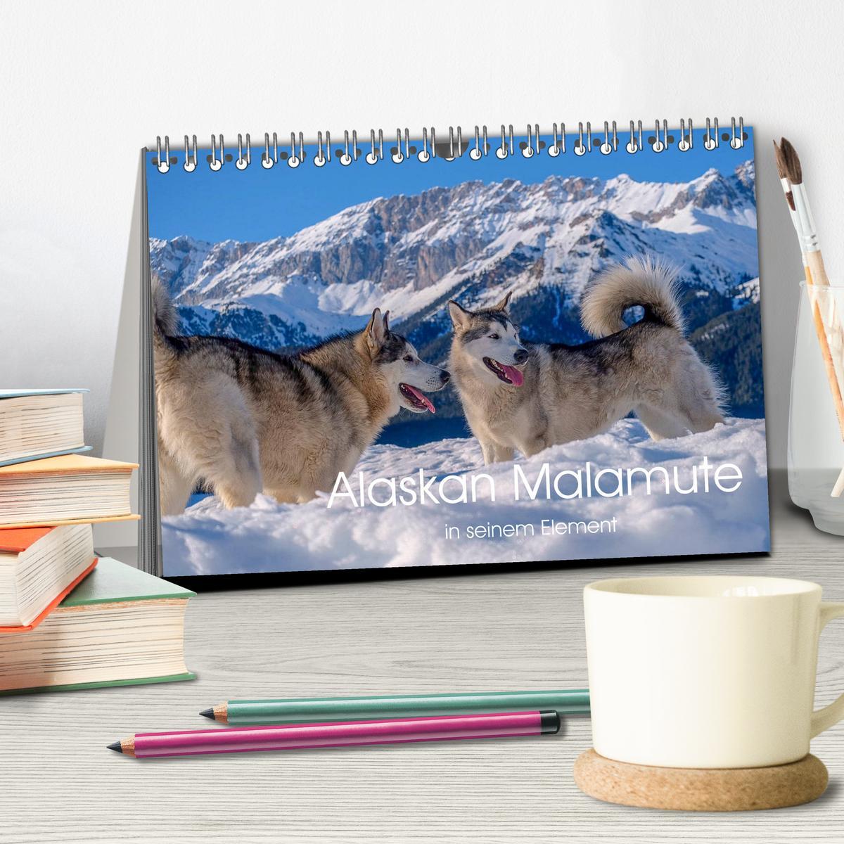 Bild: 9783435213283 | Alaskan Malamute in seinem Element (Tischkalender 2025 DIN A5...