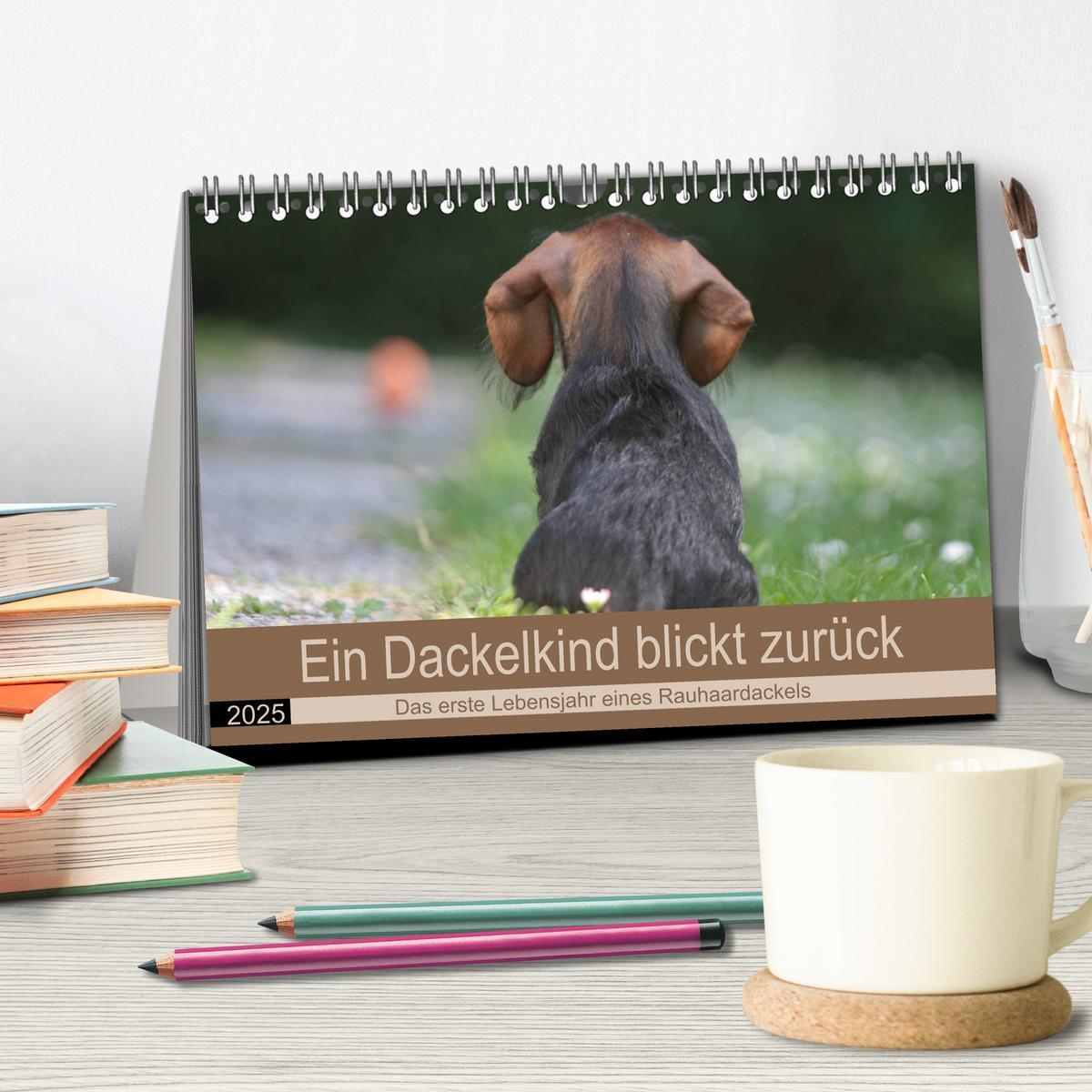 Bild: 9783435170203 | Ein Dackelkind blickt zurück (Tischkalender 2025 DIN A5 quer),...