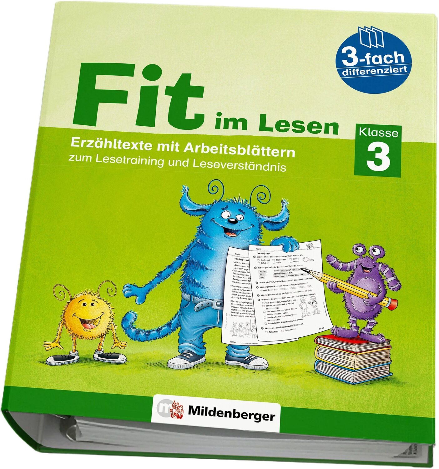 Cover: 9783619120307 | Fit im Lesen - Erzähltexte, Klasse 3 | Sabine Stehr (u. a.) | Stück