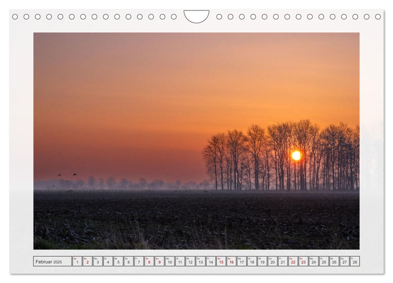 Bild: 9783457243060 | Naturpark Dümmer (Wandkalender 2025 DIN A4 quer), CALVENDO...