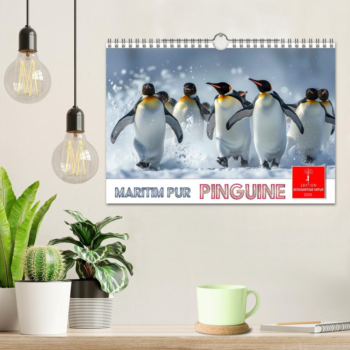 Bild: 9783457164389 | Maritim pur - Pinguine (Wandkalender 2025 DIN A4 quer), CALVENDO...