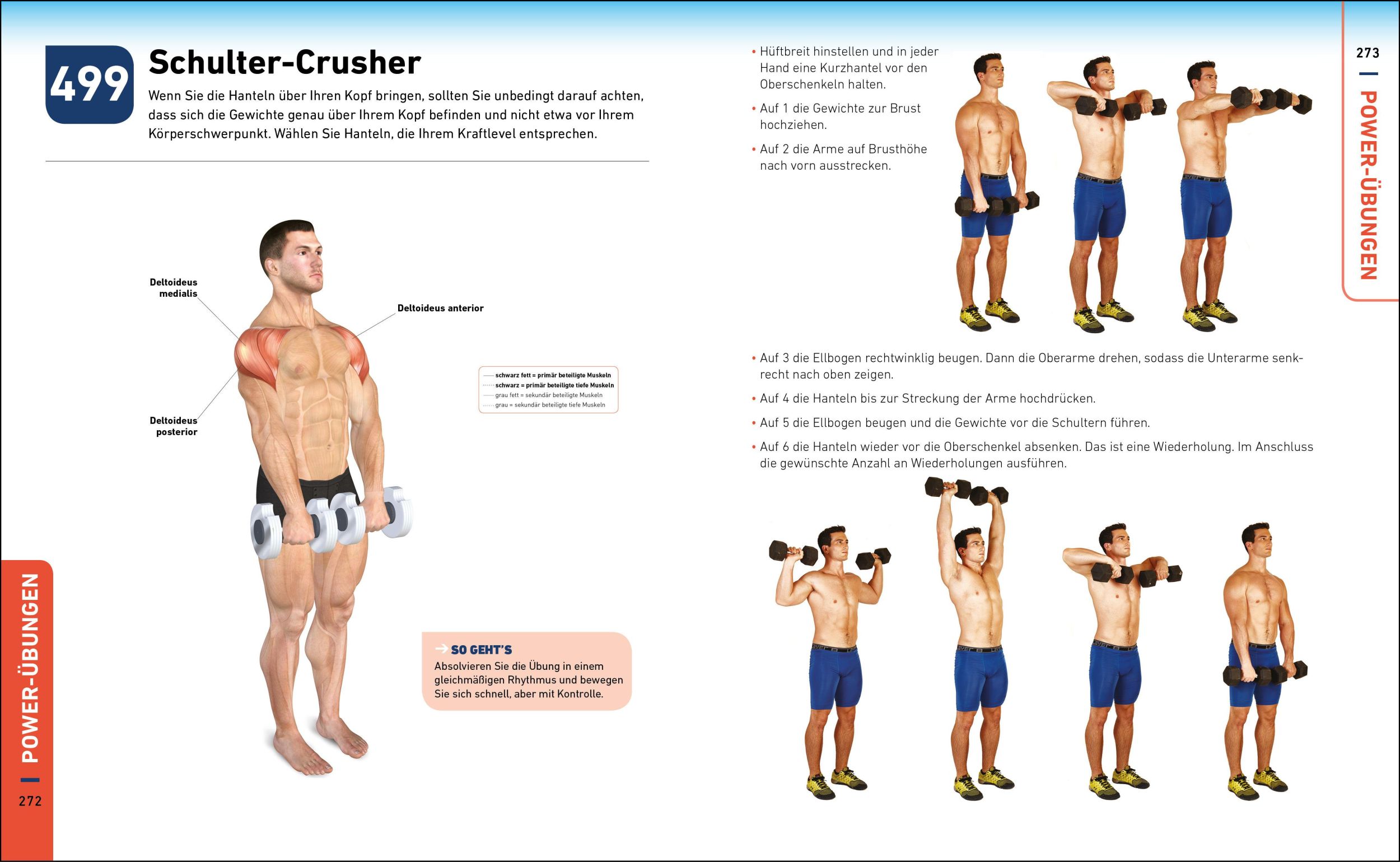 Bild: 9783517096292 | Die H.I.T.-Bibel | 500 hochintensive Übungen für Ihr Power-Workout