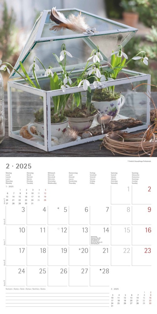 Bild: 4251732340636 | Alpha Edition - Garden &amp; Decoration 2025 Broschürenkalender,...