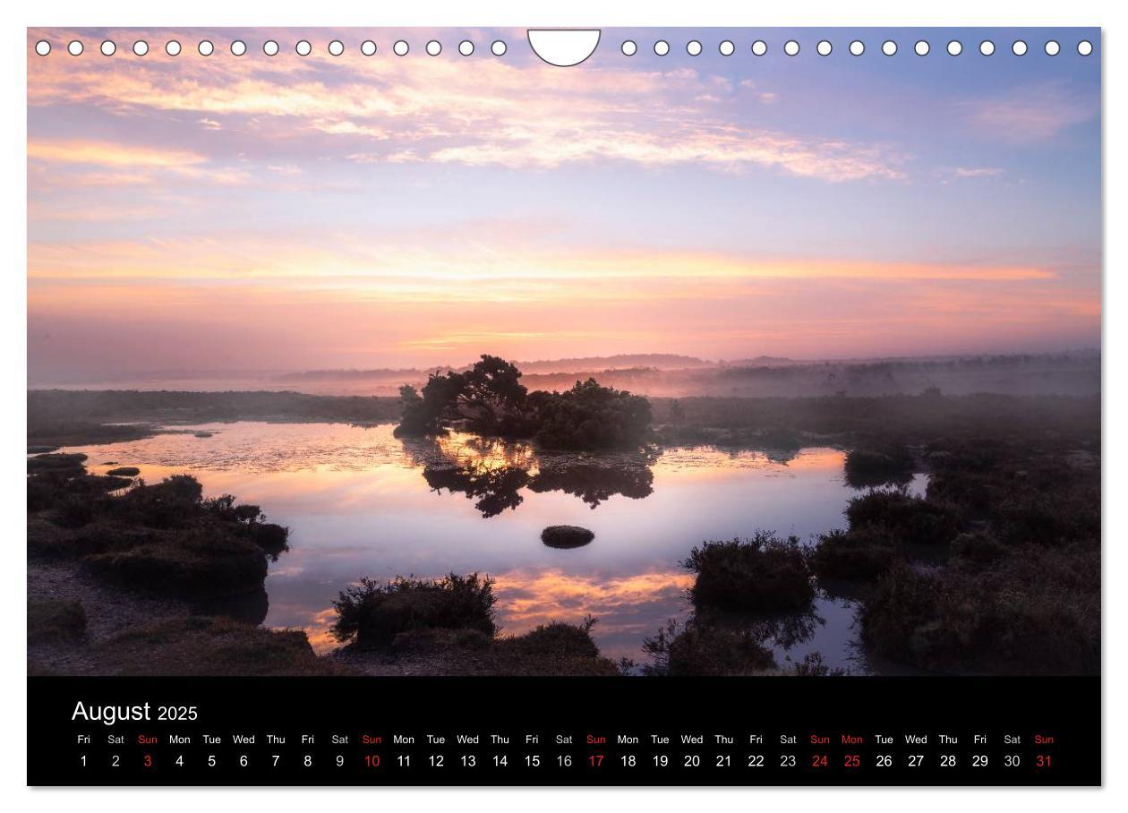 Bild: 9781325951833 | New Forest Hampshire (Wall Calendar 2025 DIN A4 landscape),...