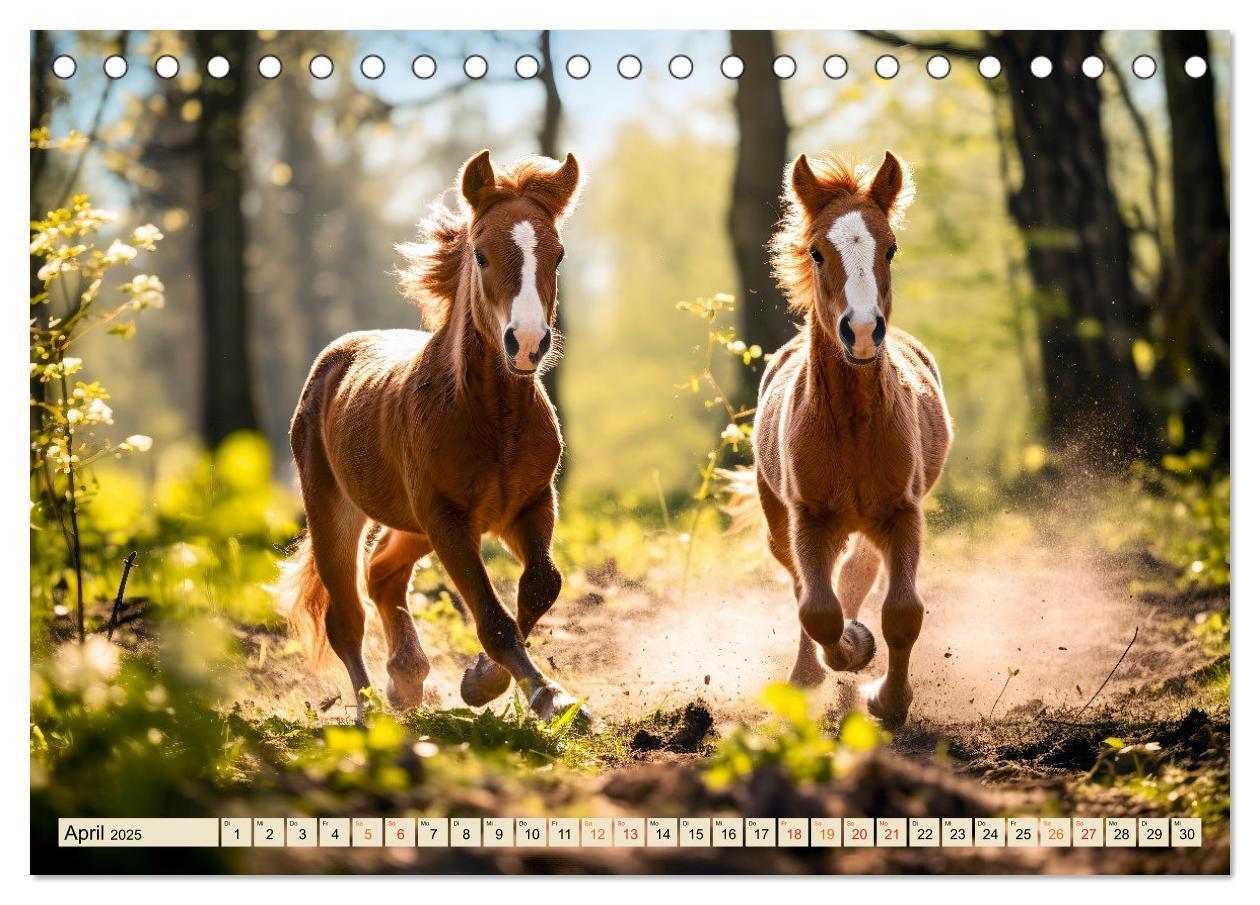 Bild: 9783383838132 | Viele Tiere auf dem Bauernhof (Tischkalender 2025 DIN A5 quer),...