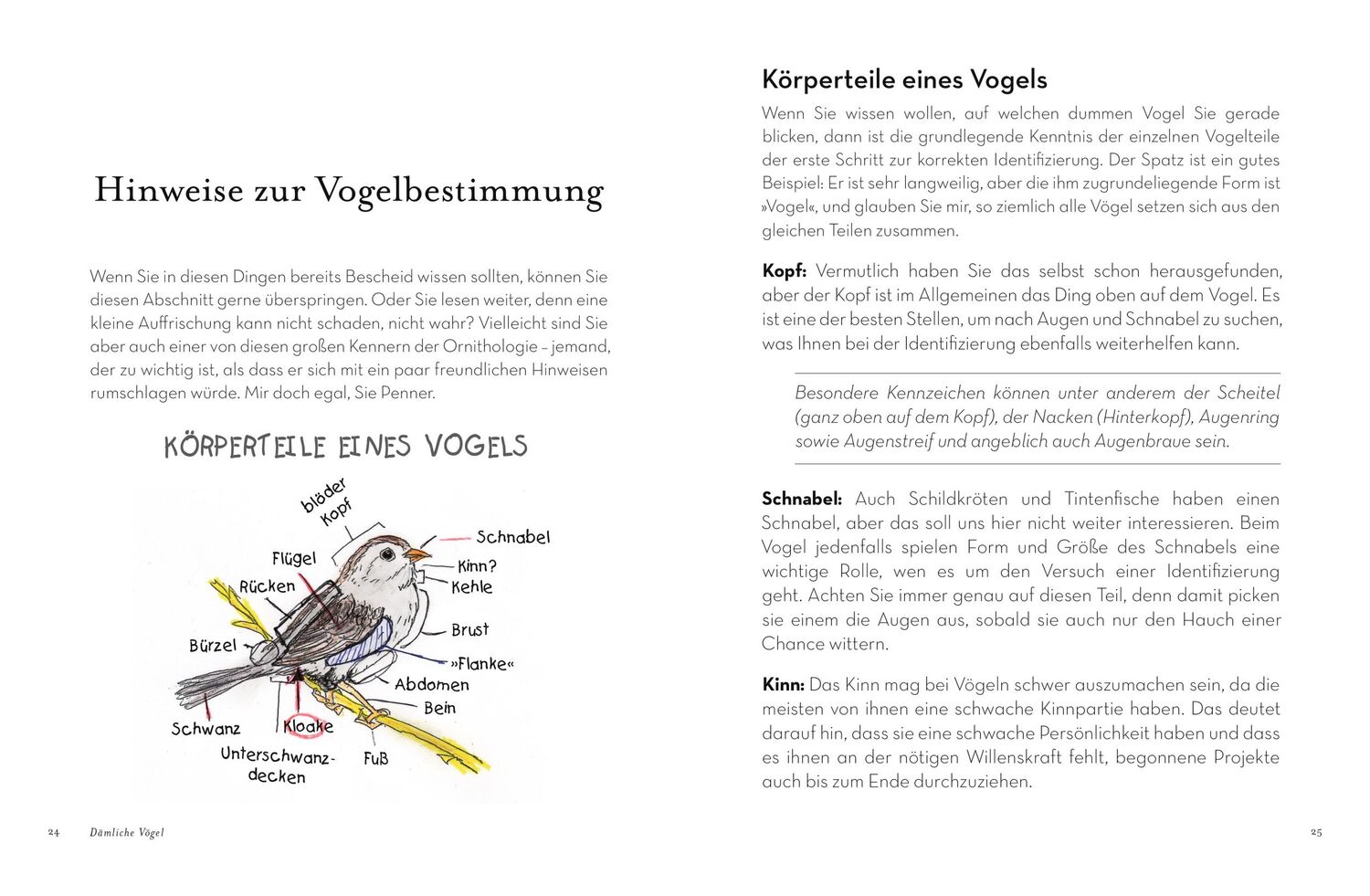 Bild: 9783742319876 | Dämliche Vögel | Matt Kracht | Taschenbuch | Deutsch | 2022