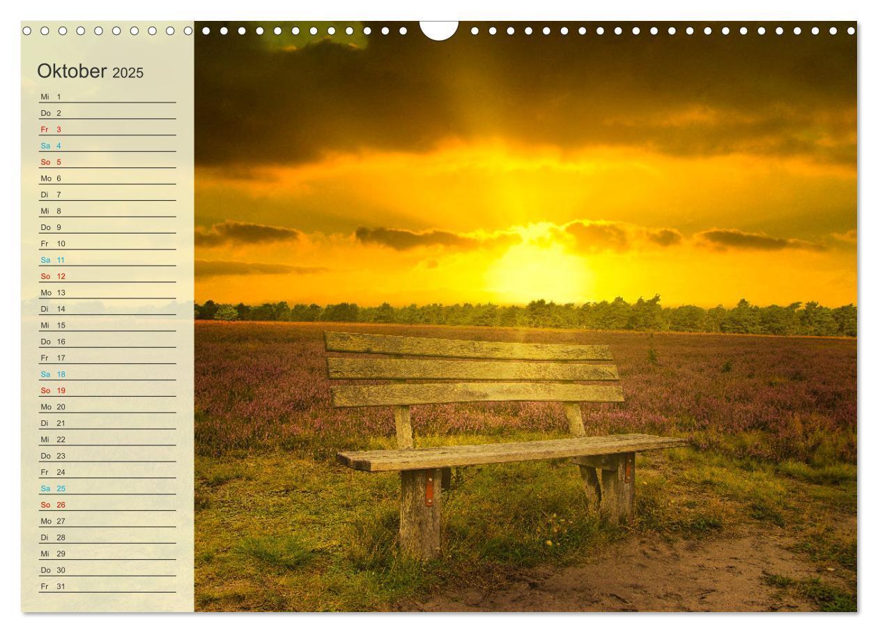 Bild: 9783435091645 | Die Heideblüte (Wandkalender 2025 DIN A3 quer), CALVENDO...