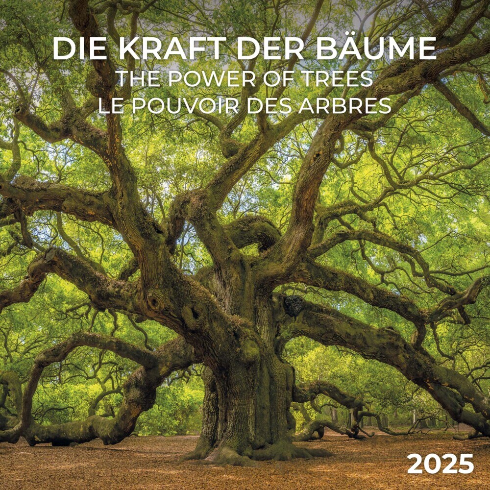 Cover: 9783959294690 | Die Kraft der Bäume 2025 | Kalender 2025 | Kalender | Drahtheftung