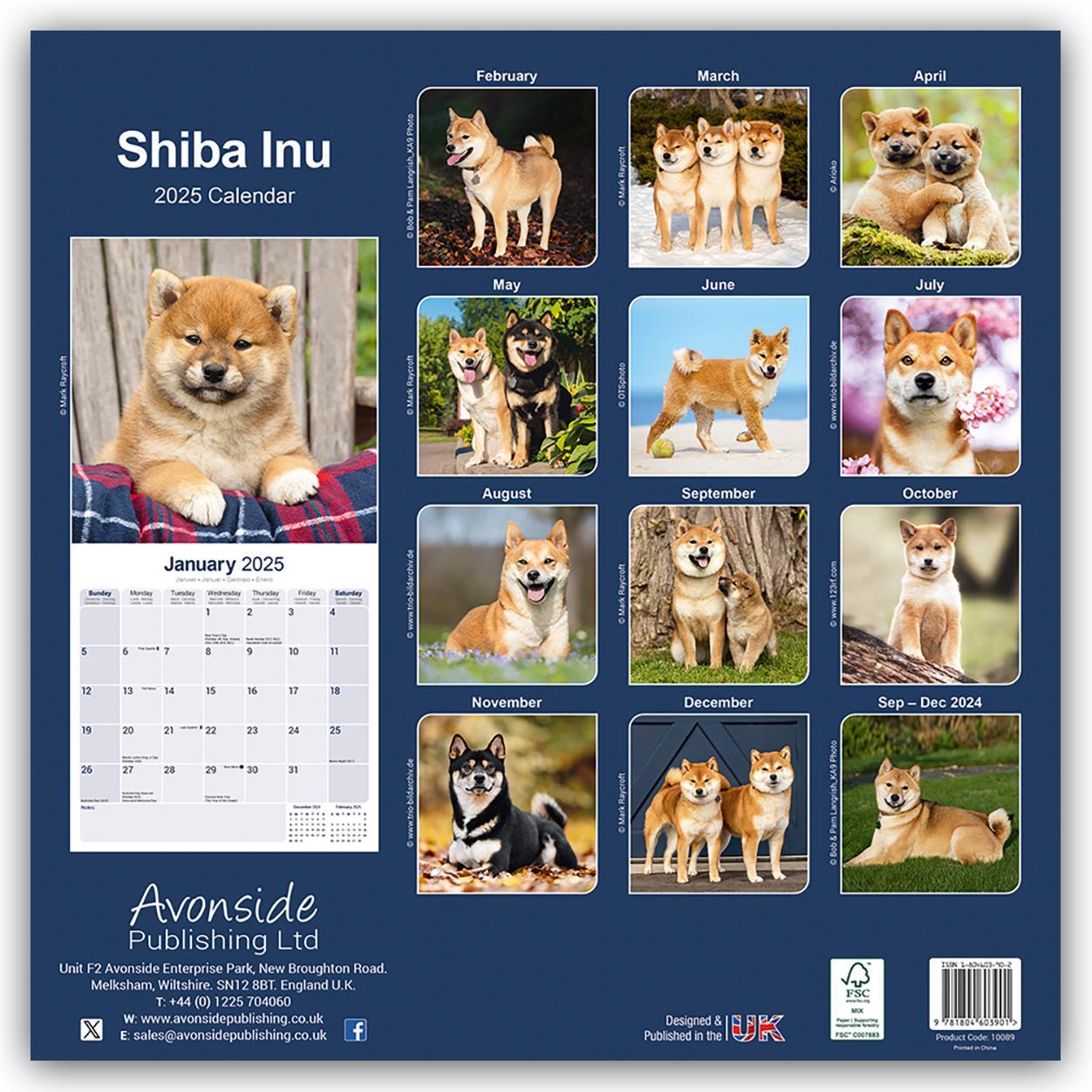 Rückseite: 9781804603901 | Shiba Inu 2025 - 16-Monatskalender | Avonside Publishing Ltd | 13 S.