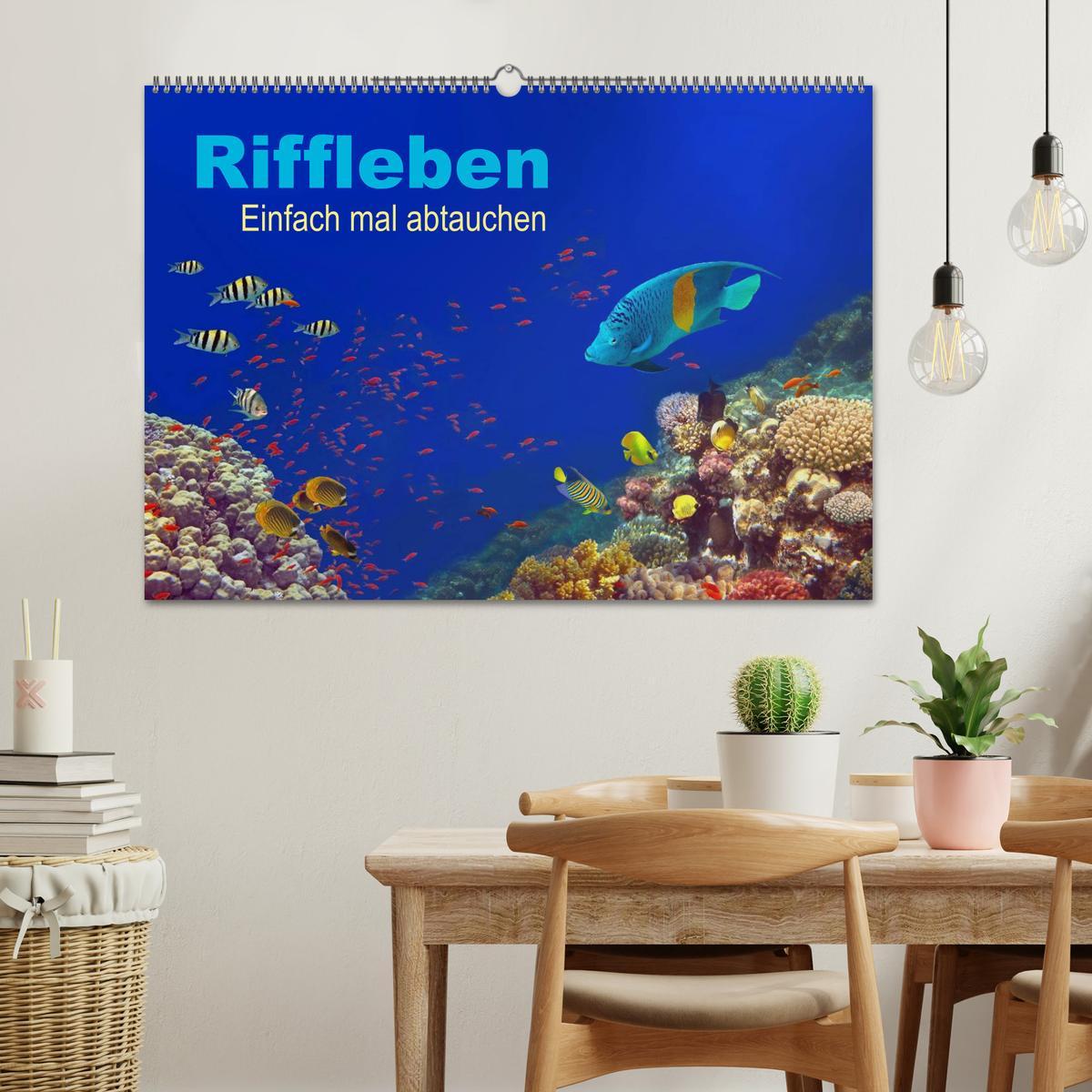 Bild: 9783435607198 | Riffleben - Einfach mal abtauchen (Wandkalender 2025 DIN A2 quer),...