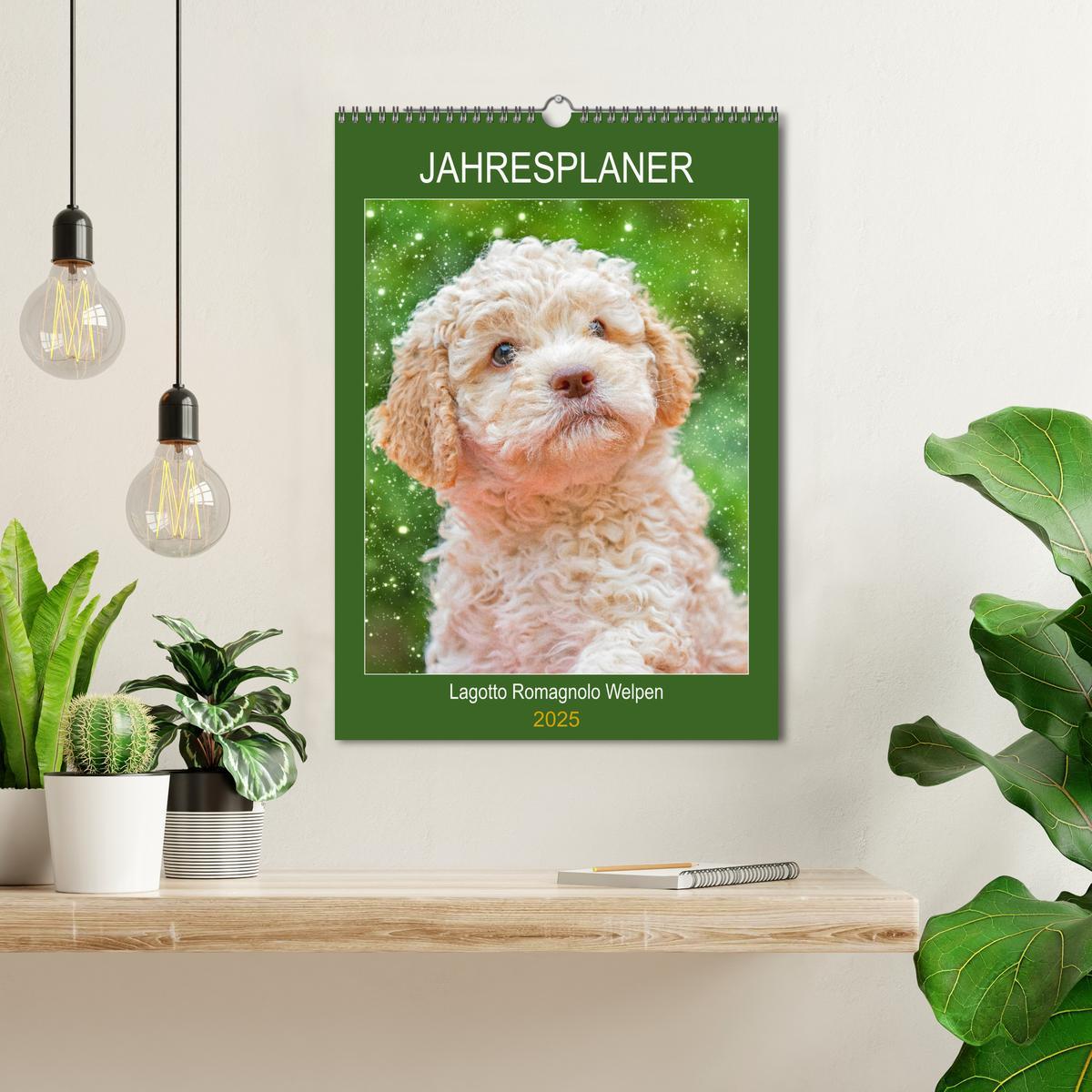 Bild: 9783435952236 | Jahresplaner Lagotto Romagnolo Welpen (Wandkalender 2025 DIN A3...