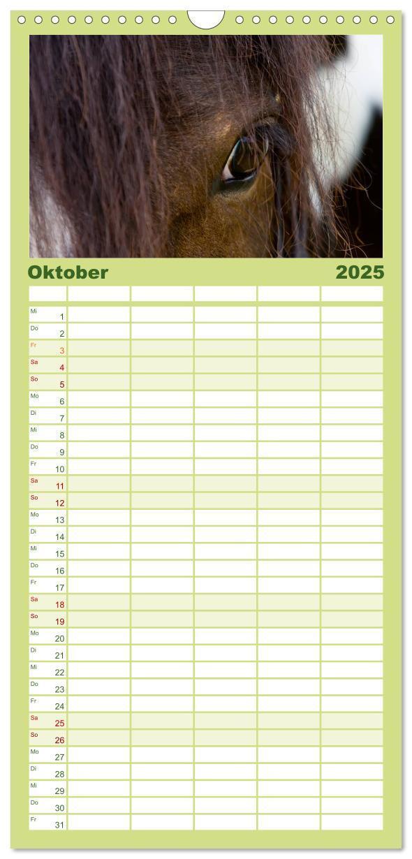 Bild: 9783457113738 | Familienplaner 2025 - Irish Tinker mit 5 Spalten (Wandkalender, 21...