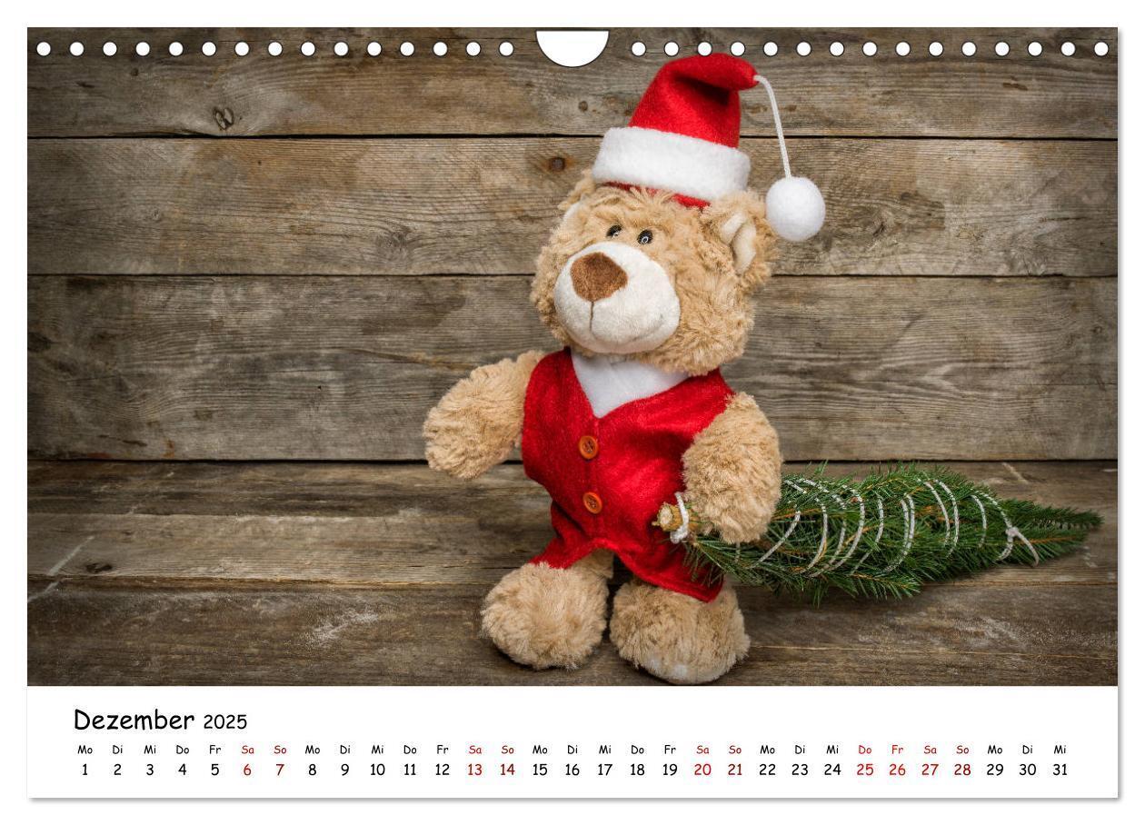 Bild: 9783435254767 | Eddy, der Teddy (Wandkalender 2025 DIN A4 quer), CALVENDO...