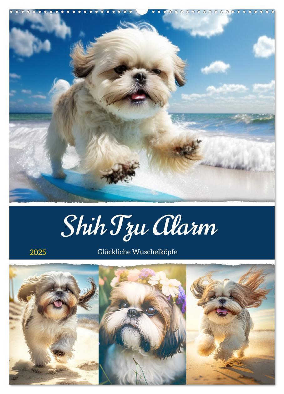 Cover: 9783435874101 | Shih Tzu Alarm. Glückliche Wuschelköpfe (Wandkalender 2025 DIN A2...