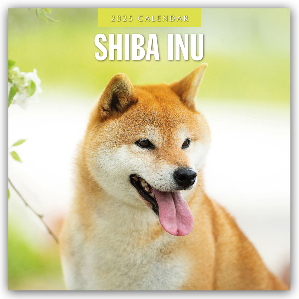 Cover: 9781804425107 | Shiba Inu 2025 - 16-Monatskalender | Red Robin Publishing Ltd | 14 S.