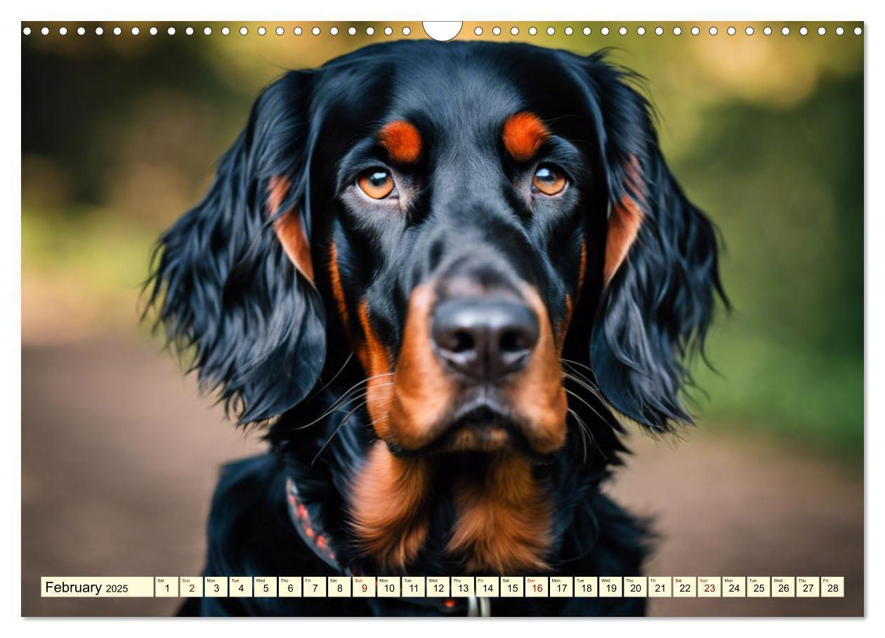 Bild: 9781325979608 | Gordon Setter - elegant powerhouse (Wall Calendar 2025 DIN A3...