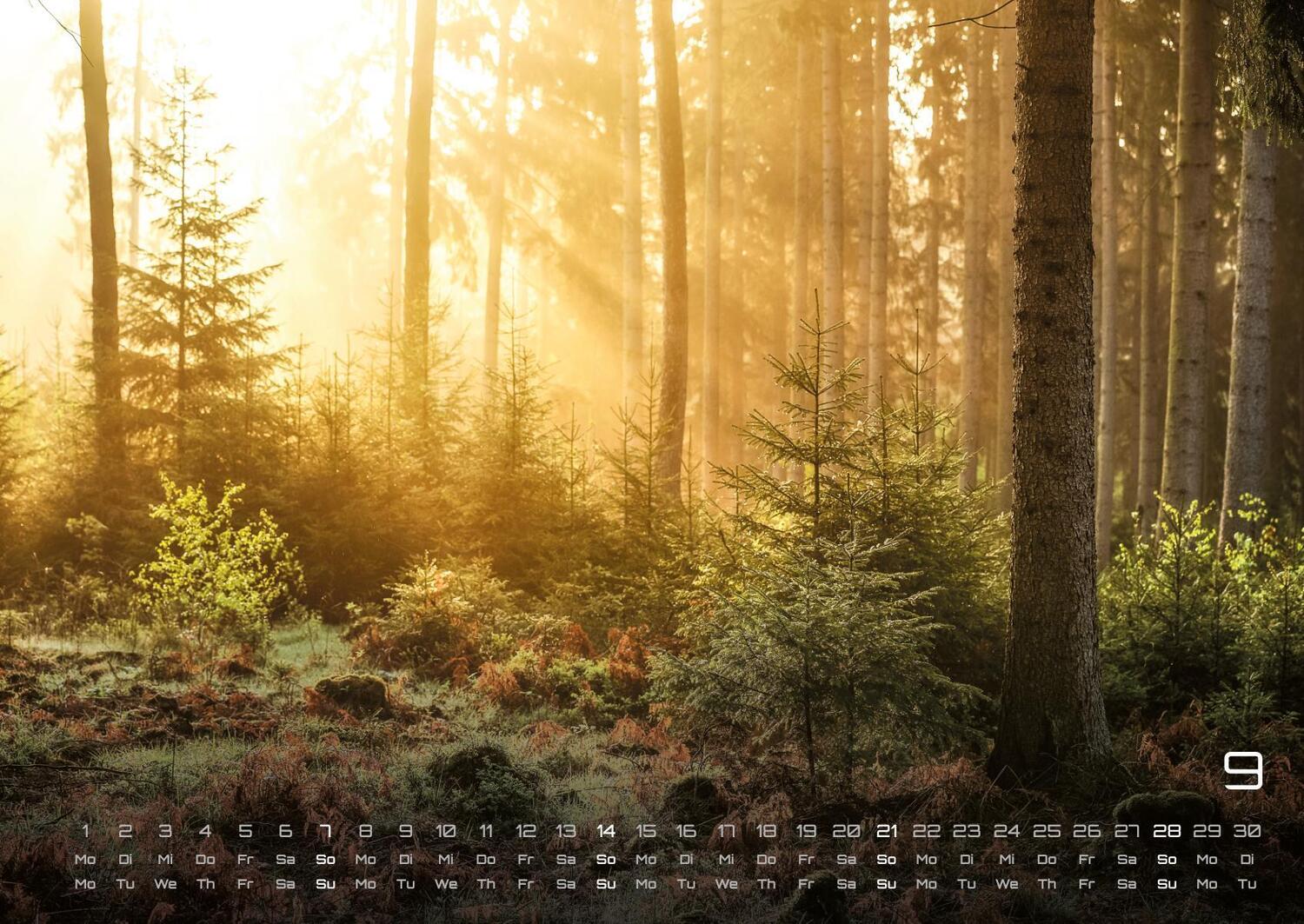 Bild: 9783986734473 | Wald - Erholung für Mensch und Tier - 2025 - Kalender DIN A2 | de