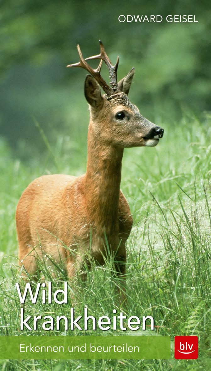 Cover: 9783835415959 | Wildkrankheiten | Erkennen und beurteilen | Odward Geisel | Buch | BLV