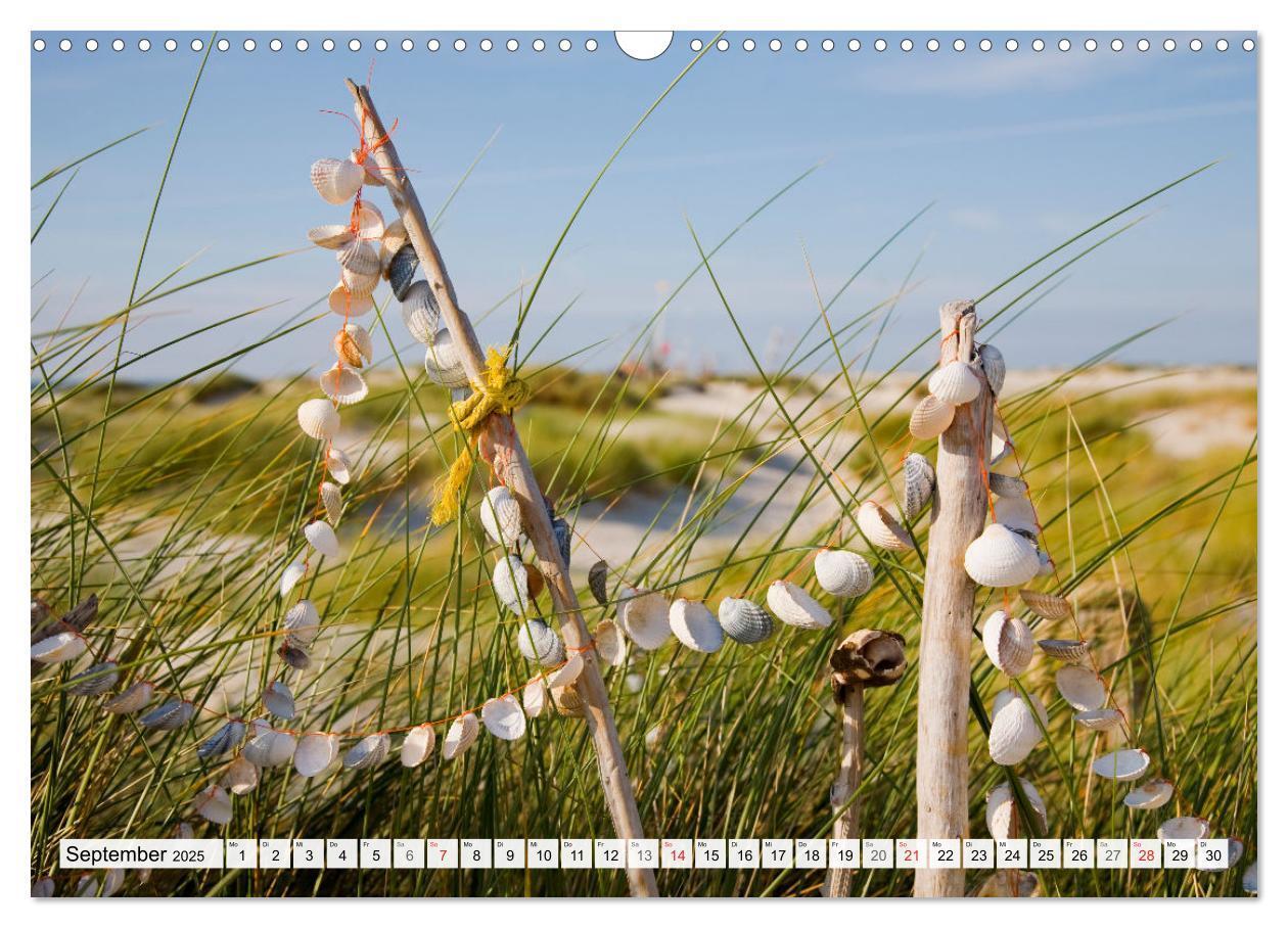 Bild: 9783435618415 | Amrum. Natur und Landschaften (Wandkalender 2025 DIN A3 quer),...