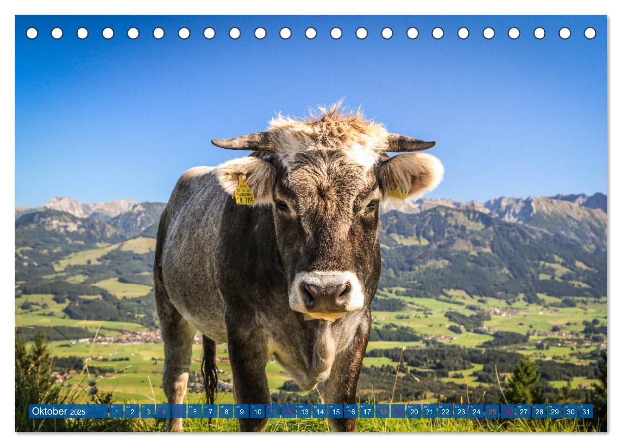 Bild: 9783435191529 | Allgäu - Perle im Süden (Tischkalender 2025 DIN A5 quer), CALVENDO...