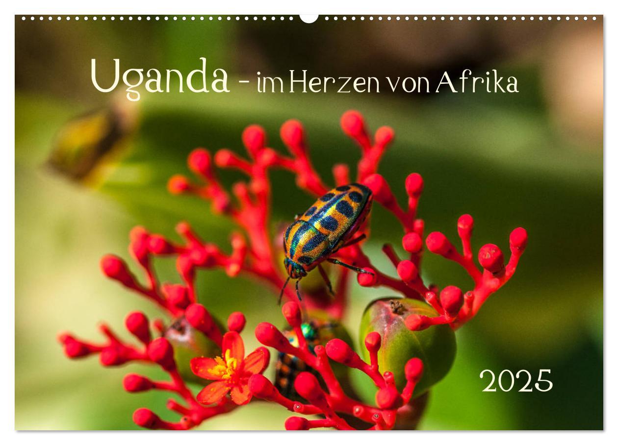 Cover: 9783435372676 | Uganda - im Herzen von Afrika (Wandkalender 2025 DIN A2 quer),...