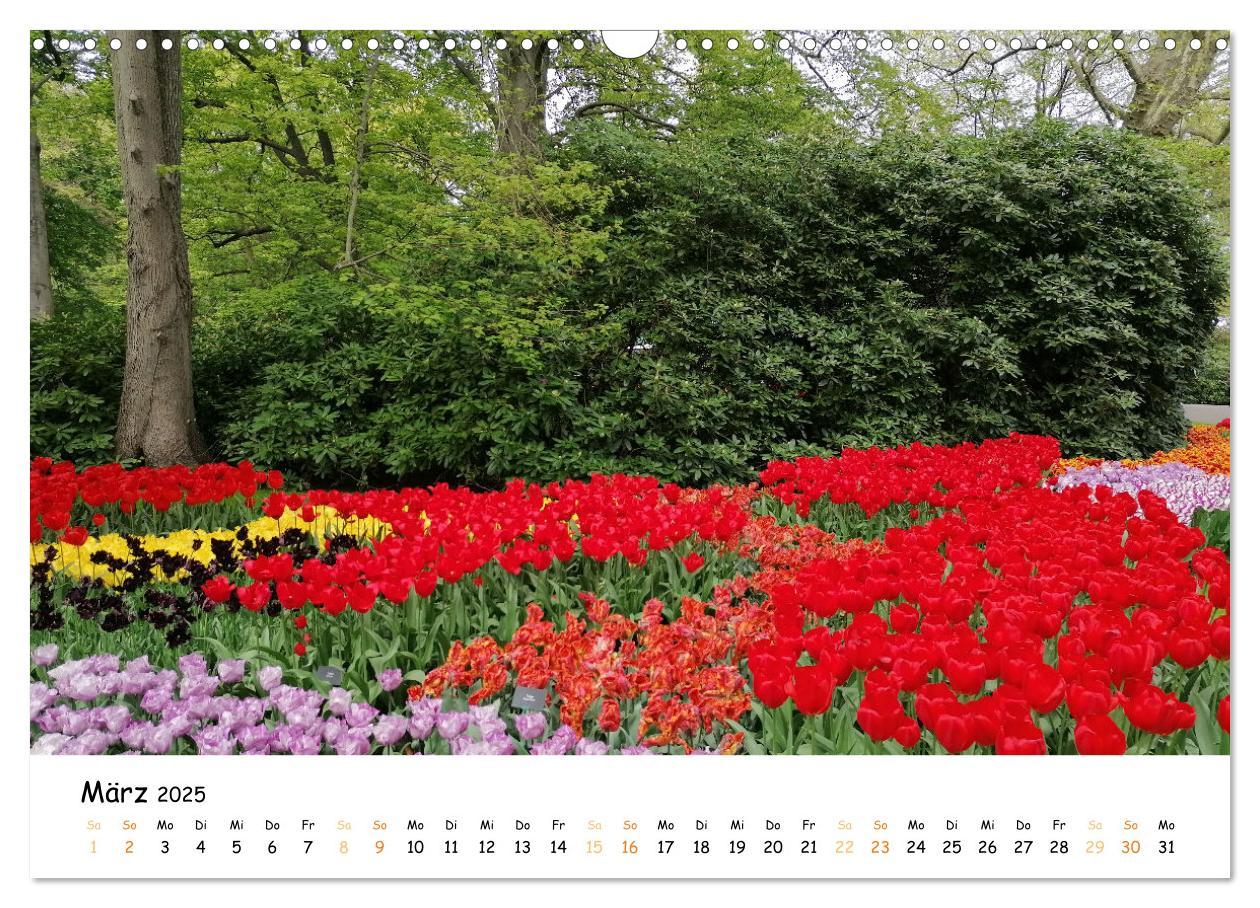 Bild: 9783383924354 | Auf Tour im Land der Tulpen (Wandkalender 2025 DIN A3 quer),...