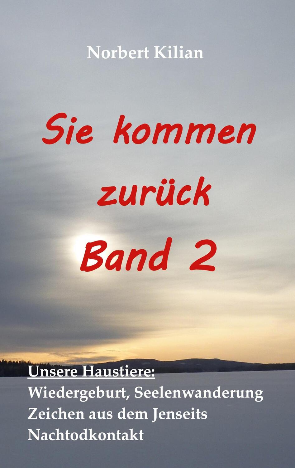 Cover: 9783753421032 | Sie kommen zurück Band 2 | Norbert Kilian | Taschenbuch