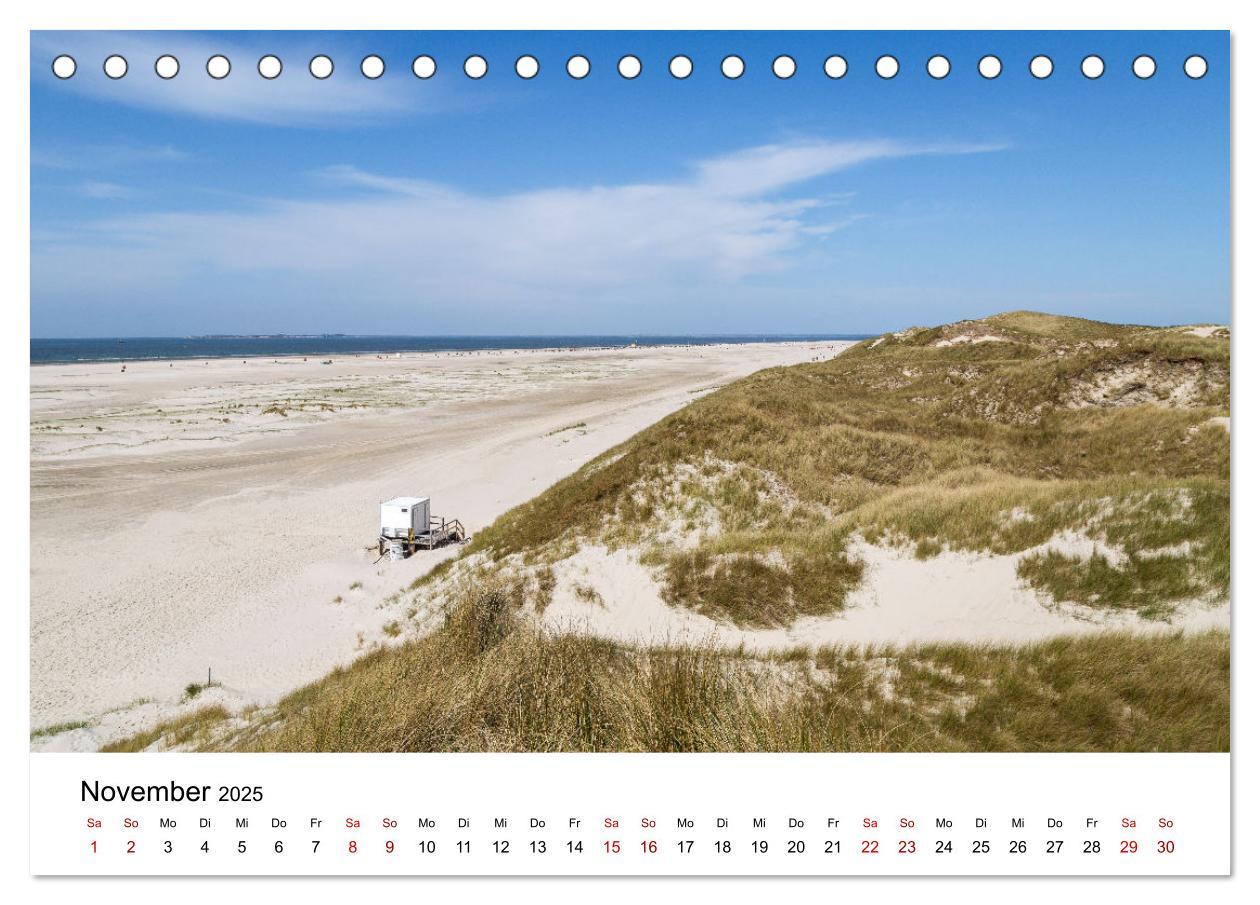 Bild: 9783383896651 | Amrum - Das Paradies in der Nordsee (Tischkalender 2025 DIN A5...