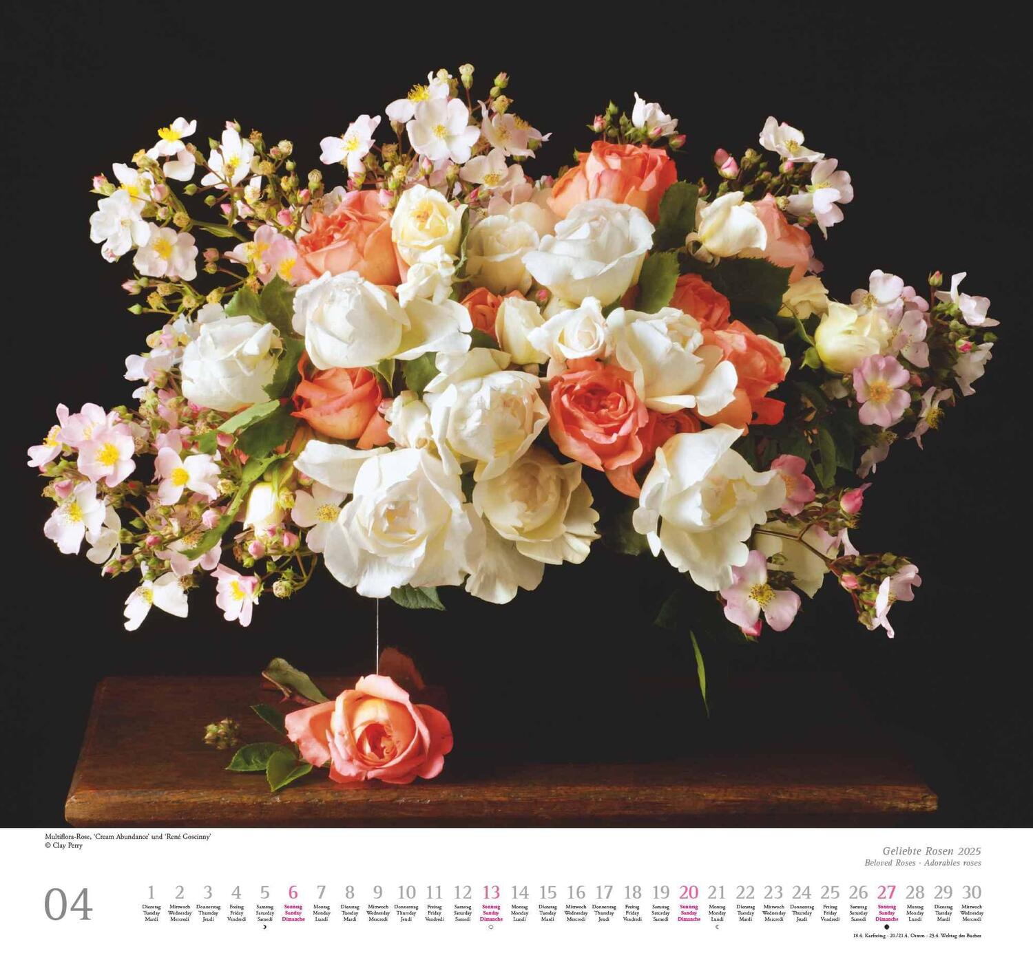 Bild: 4250809653082 | Geliebte Rosen 2025 - DUMONT Wandkalender - mit allen wichtigen...