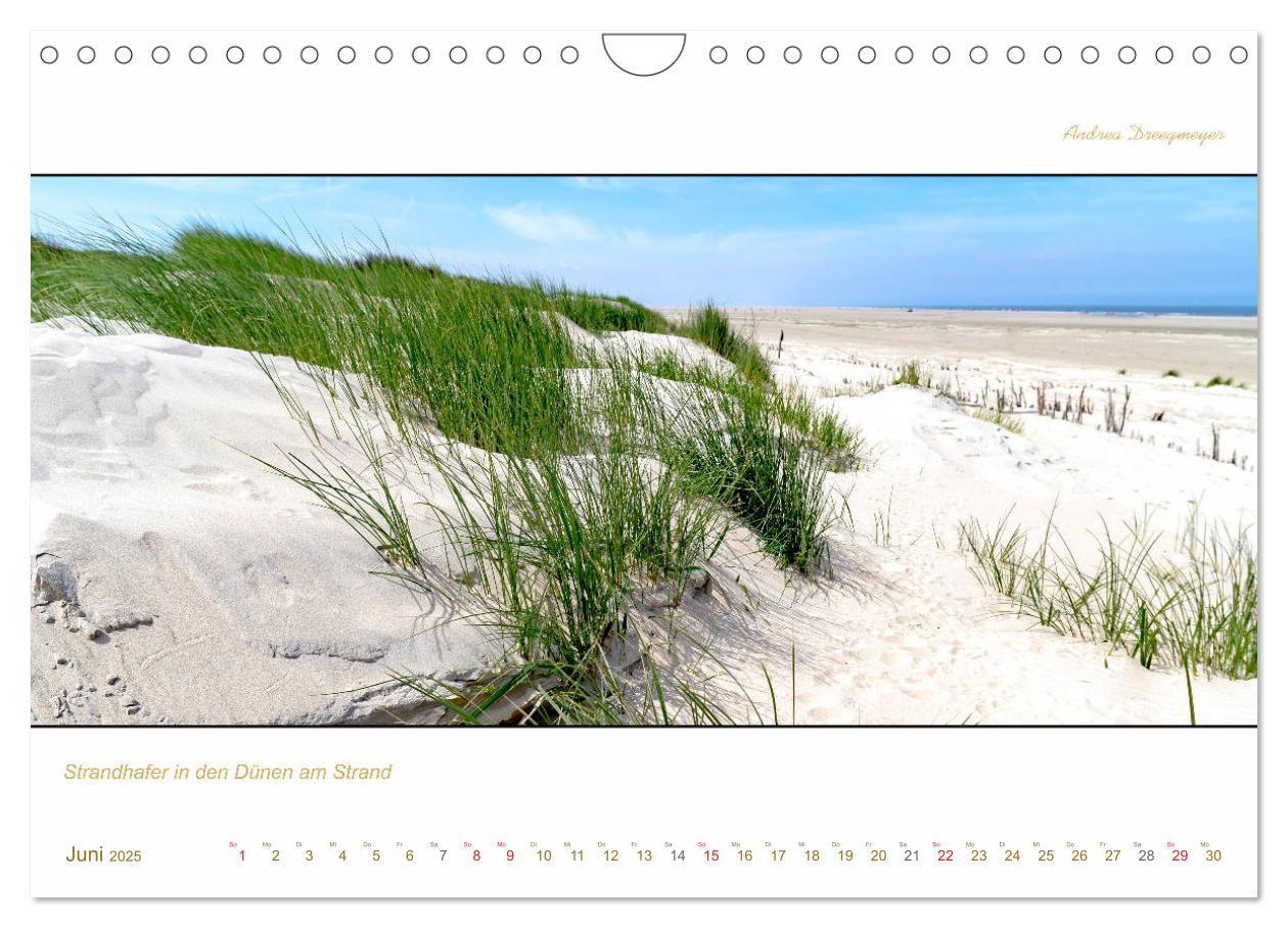 Bild: 9783435259441 | Borkum Inselpanorama (Wandkalender 2025 DIN A4 quer), CALVENDO...