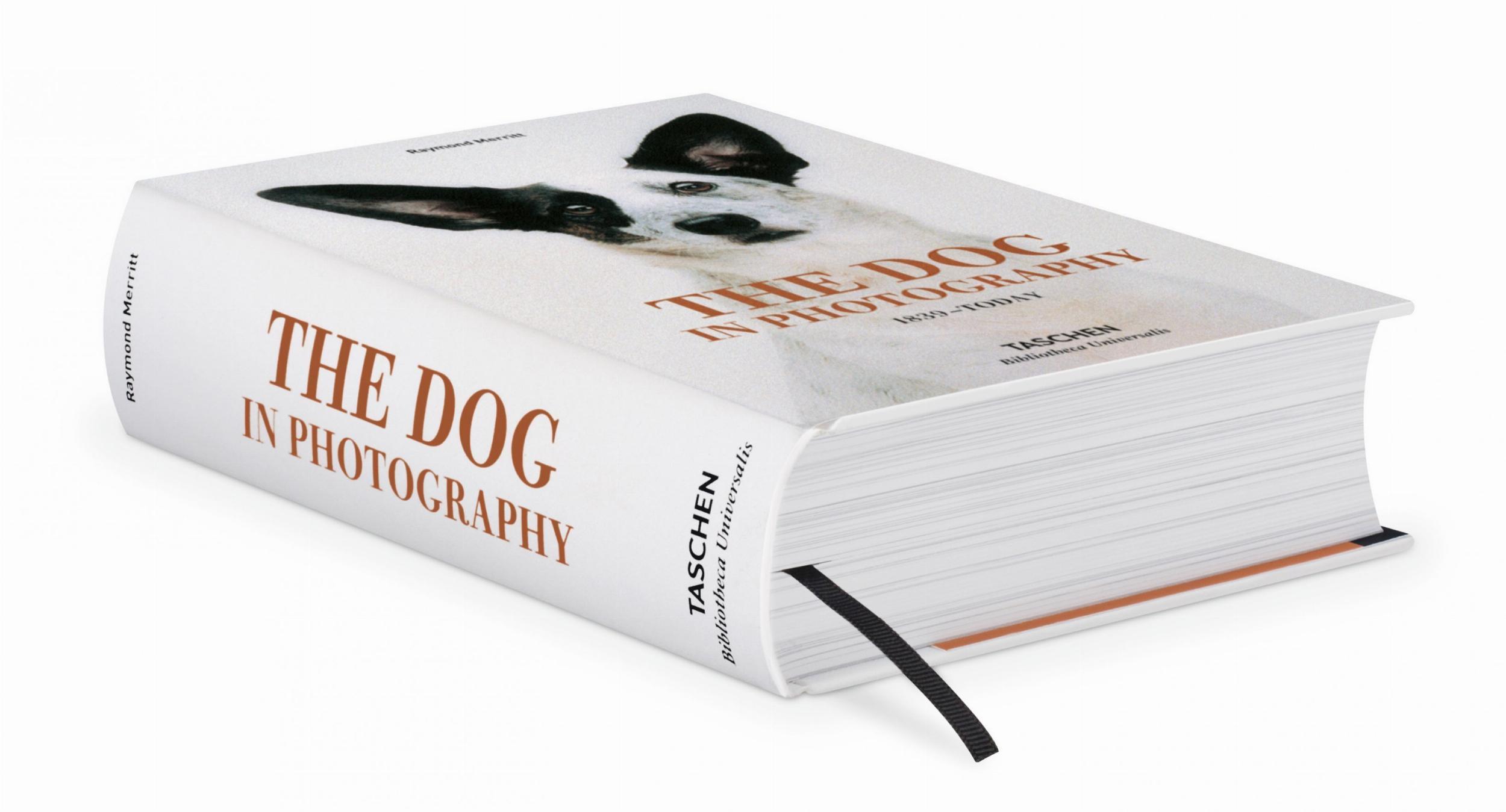 Bild: 9783836567473 | The Dog in Photography 1839-Today | Raymond Merritt | Buch | Hardcover