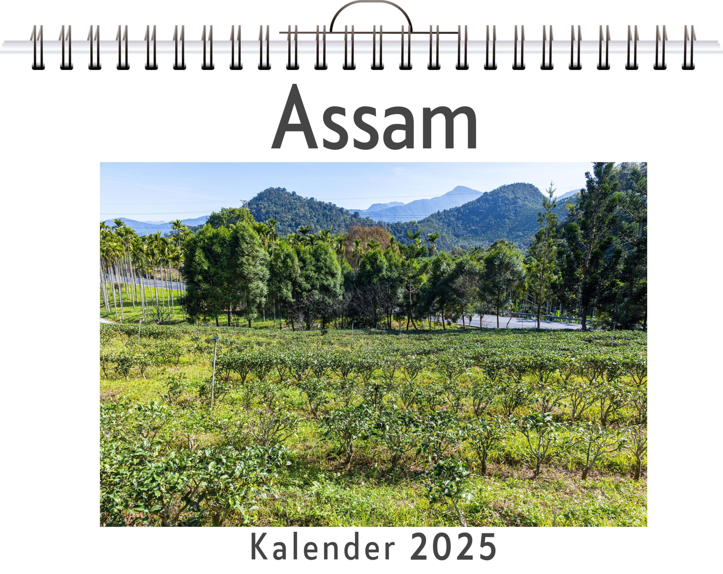 Cover: 9783759123626 | Assam - (Wandkalender 2025, Kalender DIN A4 quer, Monatskalender im...