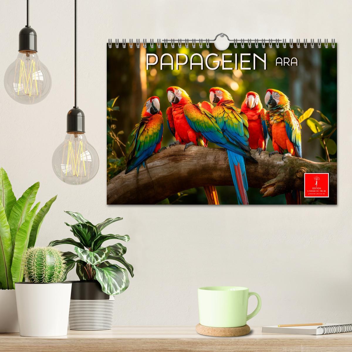 Bild: 9783383867941 | Papageien - Ara (Wandkalender 2025 DIN A4 quer), CALVENDO...