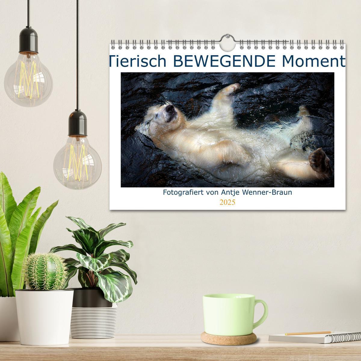 Bild: 9783435104833 | Tierisch BEWEGENDE Momente (Wandkalender 2025 DIN A4 quer),...