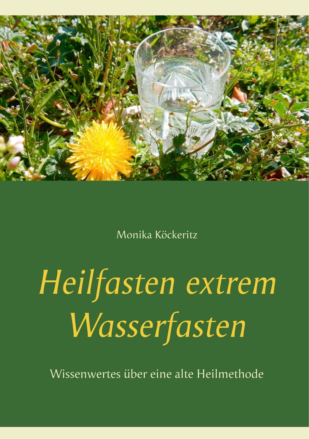 Cover: 9783734759147 | Heilfasten extrem Wasserfasten | Monika Köckeritz | Taschenbuch | 2019