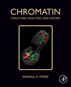 Cover: 9780128148099 | Chromatin | Structure, Function, and History | Randall H. Morse | Buch