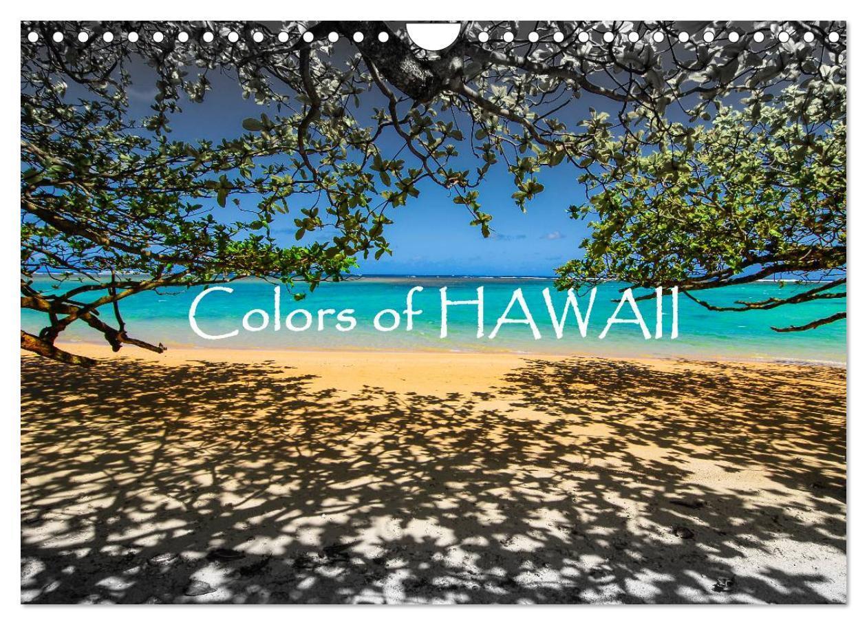 Cover: 9783435795161 | Colors of HAWAII (Wandkalender 2025 DIN A4 quer), CALVENDO...