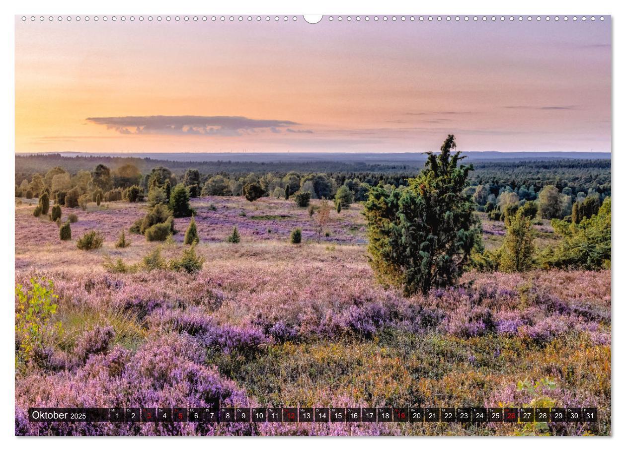 Bild: 9783383954740 | Die Lüneburger Heide - Faszination einer Naturlandschaft...