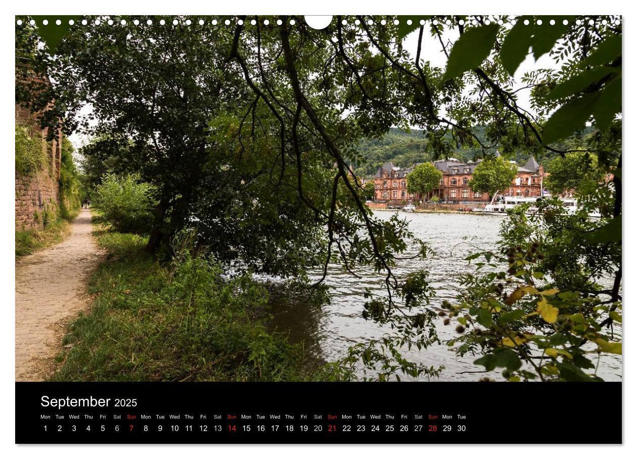 Bild: 9781325958238 | Heidelberg - Views of a City (Wall Calendar 2025 DIN A3 landscape),...