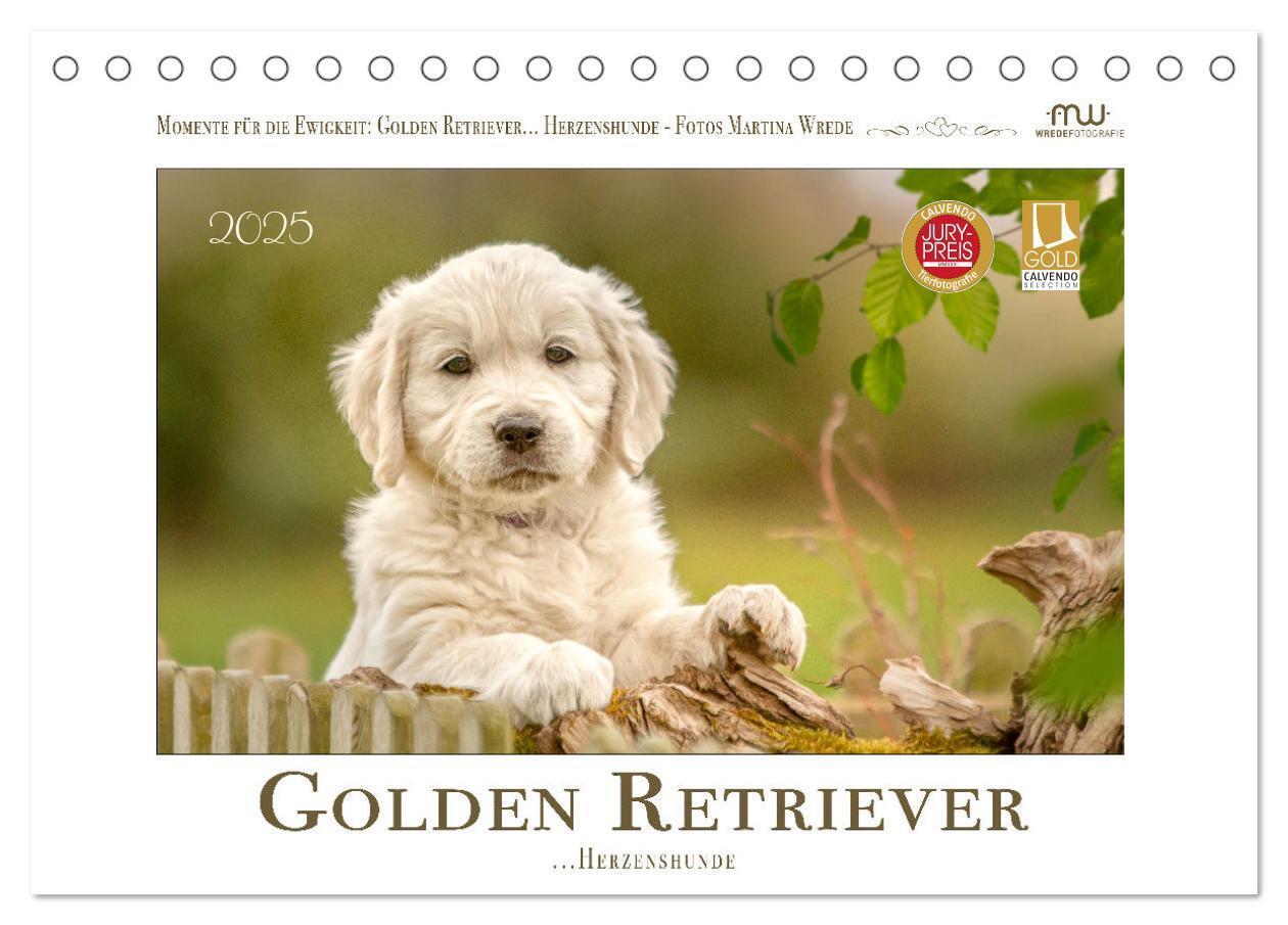 Cover: 9783383828263 | Golden Retriever... Herzenshunde (Tischkalender 2025 DIN A5 quer),...