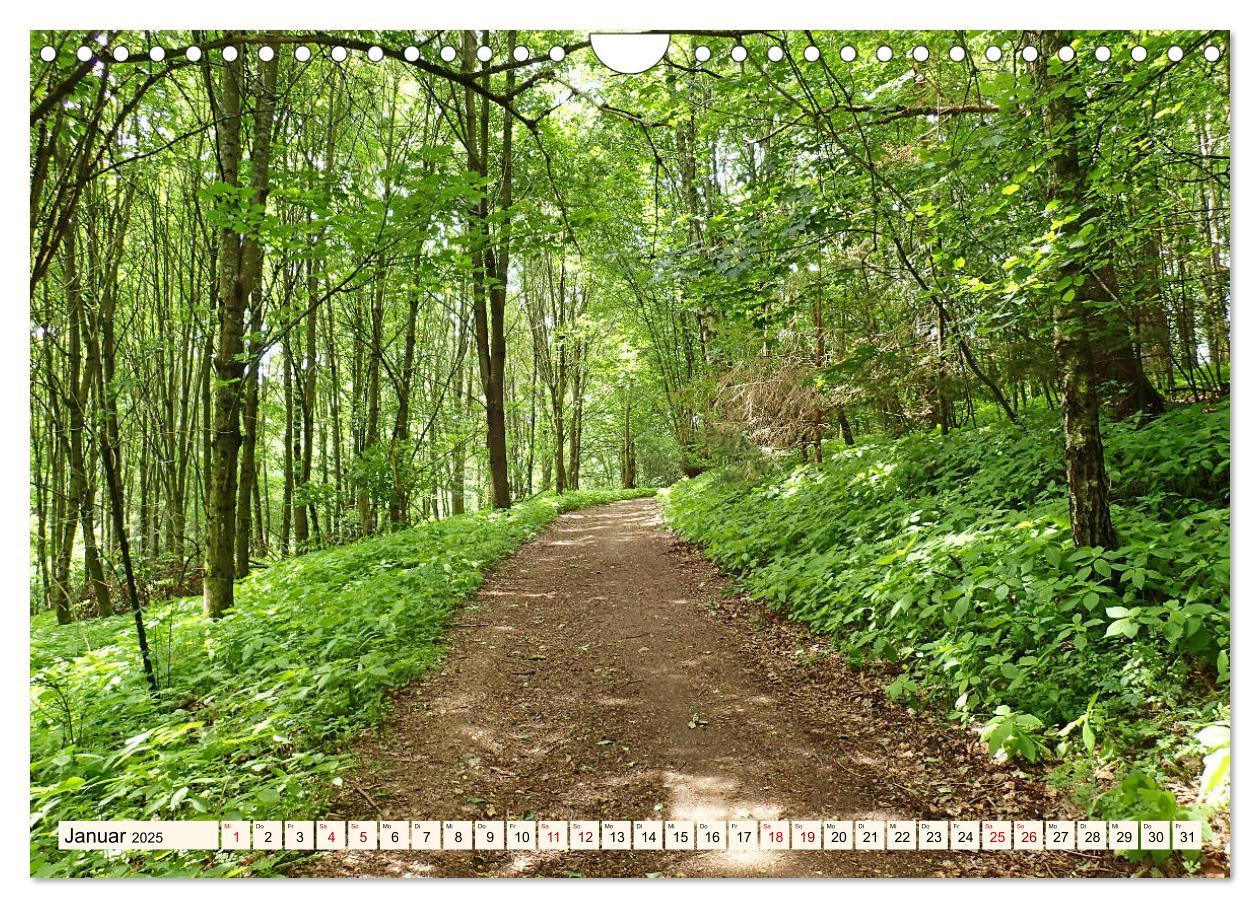 Bild: 9783435222698 | Viele Wege - ein Ziel Wandern im Odenwald (Wandkalender 2025 DIN A4...