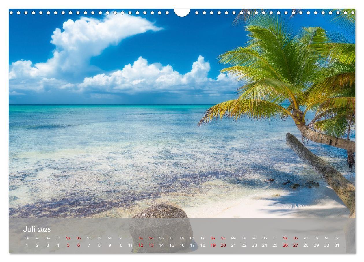 Bild: 9783435022465 | Karibik Traum Isla Saona (Wandkalender 2025 DIN A3 quer), CALVENDO...