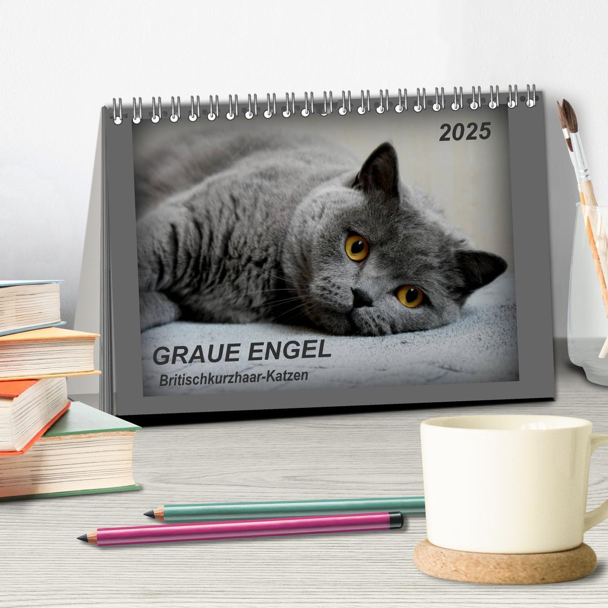 Bild: 9783435400331 | GRAUE ENGEL Britischkurzhaar-Katzen (Tischkalender 2025 DIN A5...