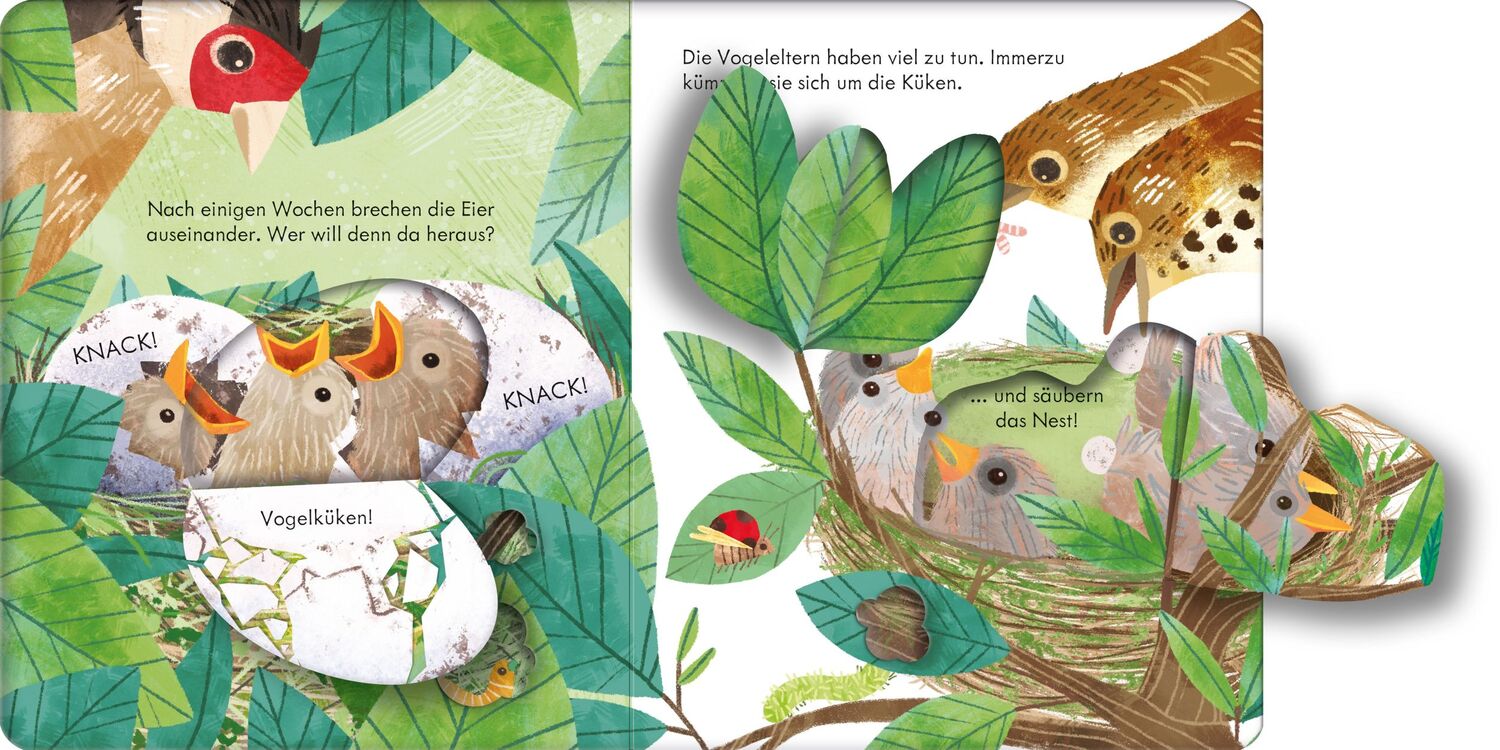 Bild: 9781789418880 | Guck mal, wer da ist! Im Vogelnest | Anna Milbourne | Buch | 14 S.