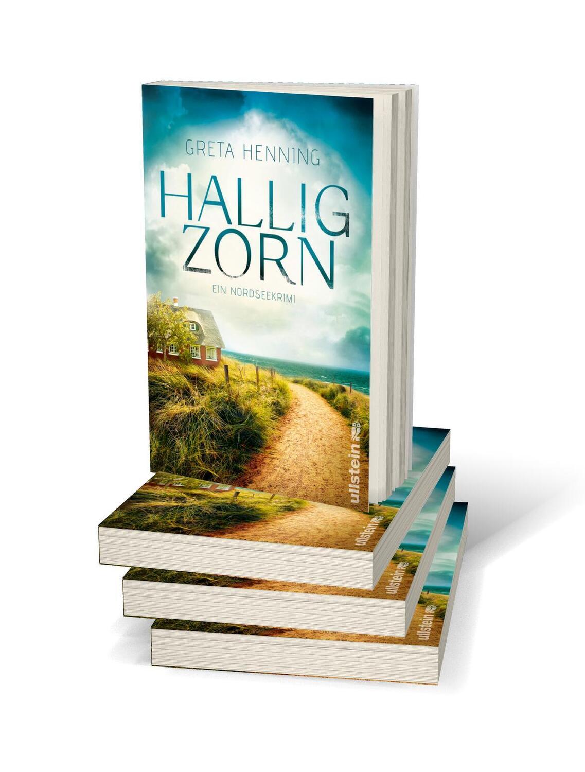 Bild: 9783864931468 | Halligzorn | Greta Henning | Taschenbuch | Ein Minke-van-Hoorn-Krimi